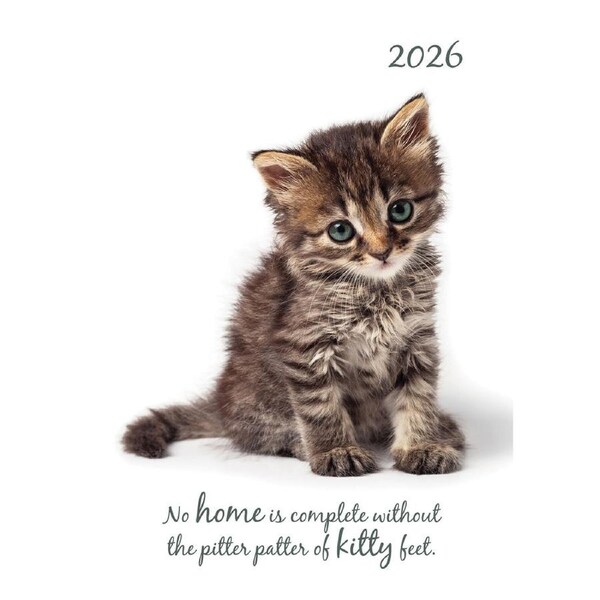 2026 Planner Cute Kittens A5 Week to View Padded, The Gifted Stationery GSC26455