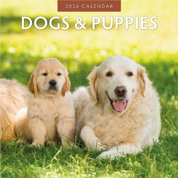 2026 Calendar Dogs & Puppies 16-Month Square Wall, Red Robin RR261024