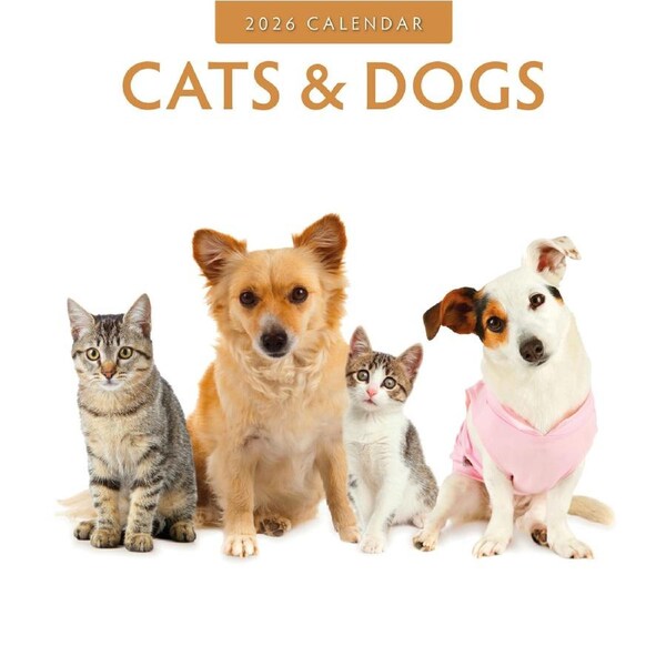 2026 Calendar Cats & Dogs 16-Month Square Wall, Red Robin RR261015
