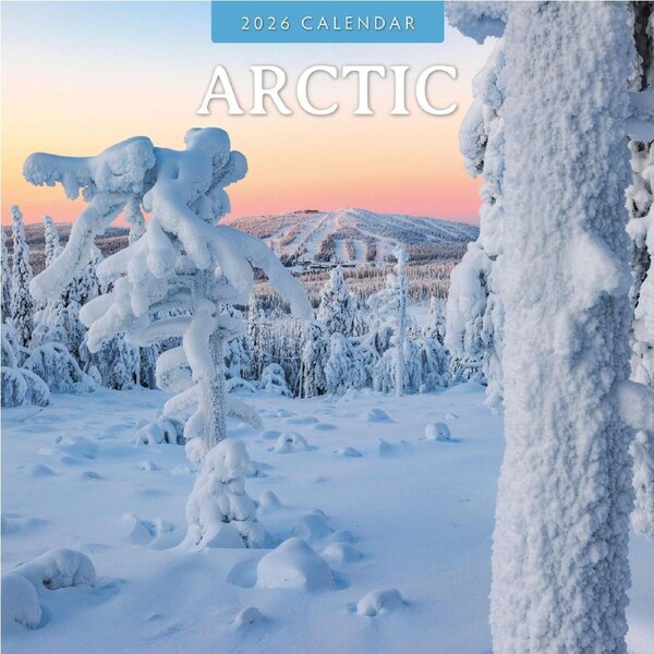 2026 Calendar Arctic 16-Month Square Wall, Red Robin RR261286