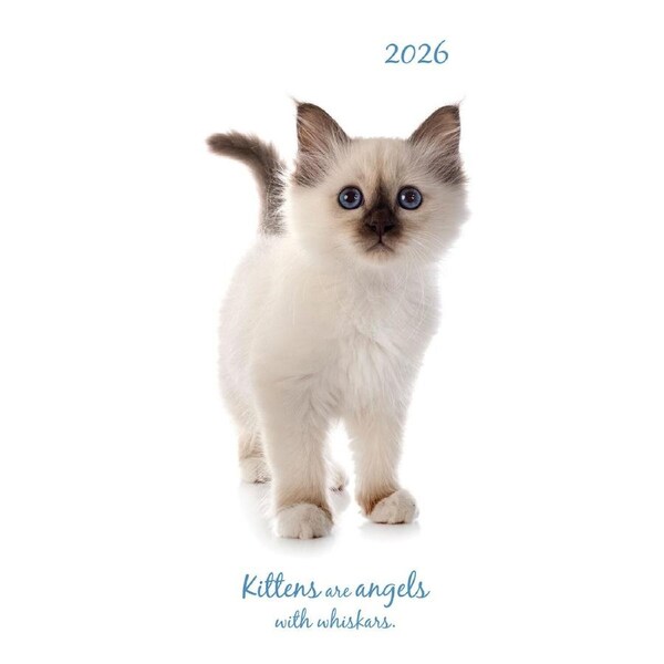 2026 Planner Cute Kittens Pocket Week to View, The Gifted Stationery GSC26496