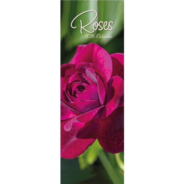 2026 Calendar Roses Slim Wall, The Gifted Stationery GSC26436