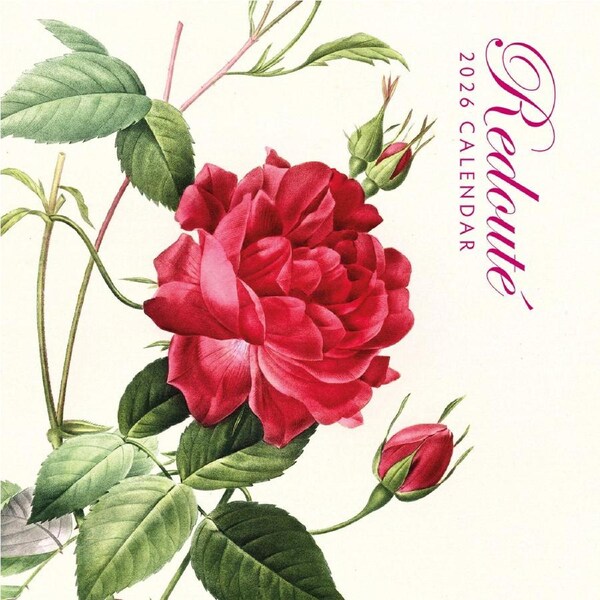 2026 Calendar Redoute 16-Month Square Wall, Red Robin RR261217