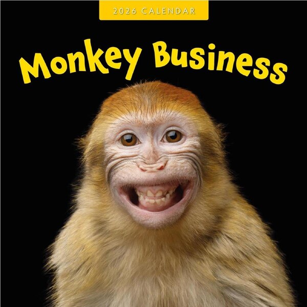 2026 Calendar Monkey Business 16-Month Square Wall, Red Robin RR261042