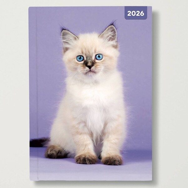 2026 Planner Cats & Kittens A5 Week to View Padded, Red Robin RR265007