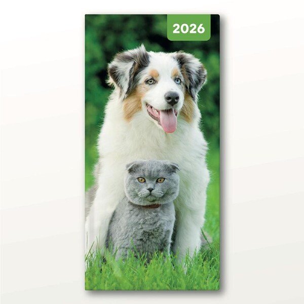 2026 Planner Cats & Dogs Pocket Week to View, Red Robin RR266006