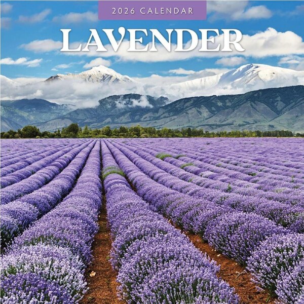 2026 Calendar Lavender 16-Month Square Wall, Red Robin RR261233
