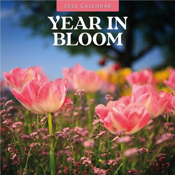 2026 Calendar Year in Bloom 16-Month Square Wall, Red Robin RR261238