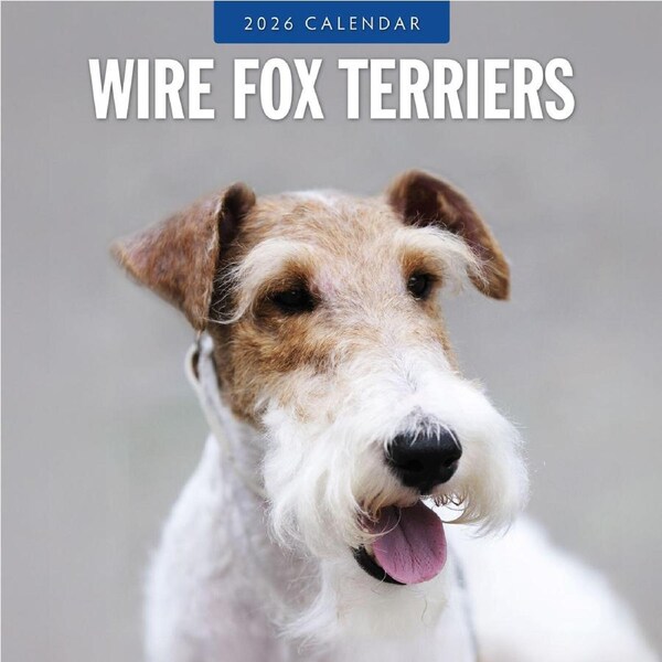 2026 Calendar Wire Fox Terriers 16-Month Square Wall, Red Robin RR261171