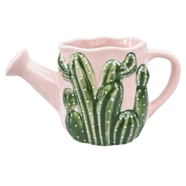 Urban Ceramic Cactus Watering Can Outdoor Planter Pot 18x9cm Pink
