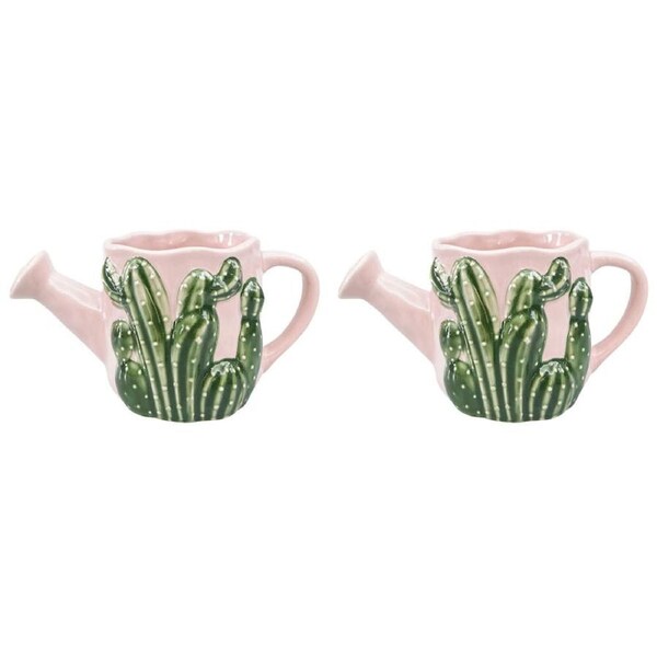 2PK Urban Ceramic Cactus Watering Can Outdoor Planter Pot 18x9cm Pink