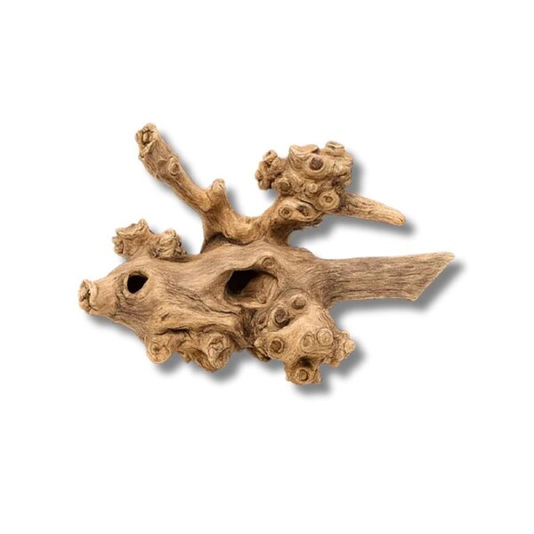 Dalua Coral Wood Large