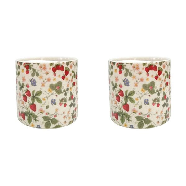 2PK Urban Strawberry Field Stoneware Outdoor Planter Pot 14x13cm Green/Red