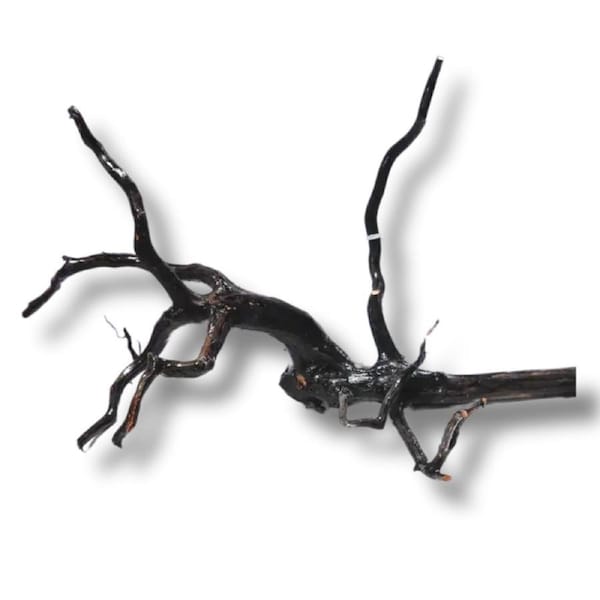 Dalua Haunted Forest Wood XL 50-60cm