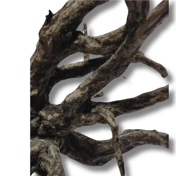 Dalua Haunted Forest Wood XXL 60+cm