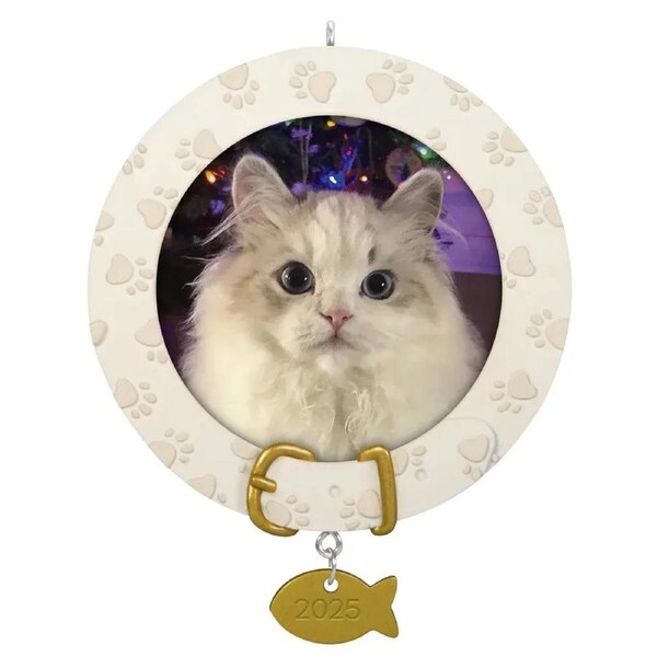 2025 Hallmark Keepsake Ornament - Furry Friend