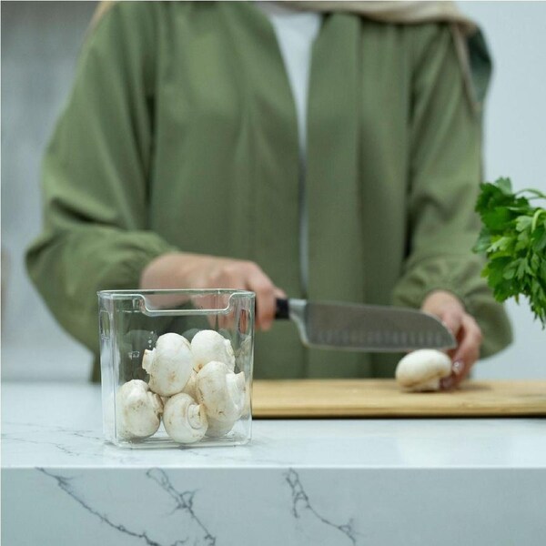 Clear Multi-Use Storage Tub With Lip – XS