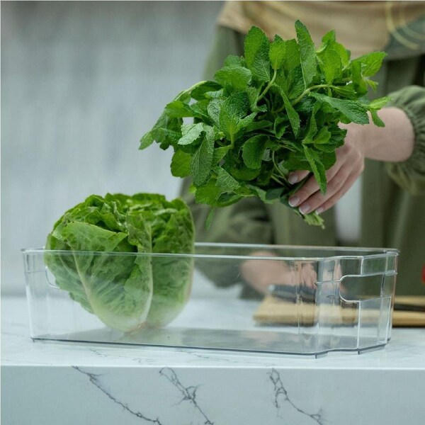 Clear Storage Tub With Handles – Large