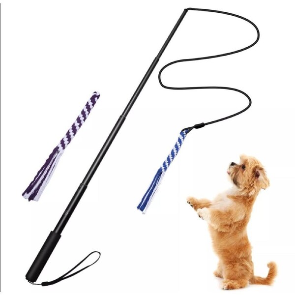 JOYBUY Extendable Dog Flirt Pole – Interactive Outdoor Teaser Toy with Rope