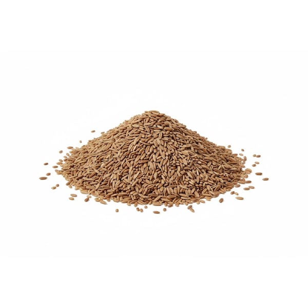 'Canberra' Lawn Seed Blend 4kg