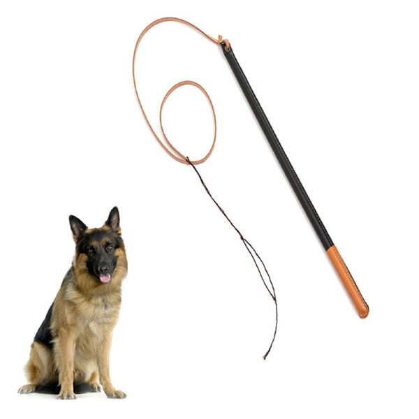 JOYBUY Imitation Leather Dog Training Whip – Pet Training Accessory