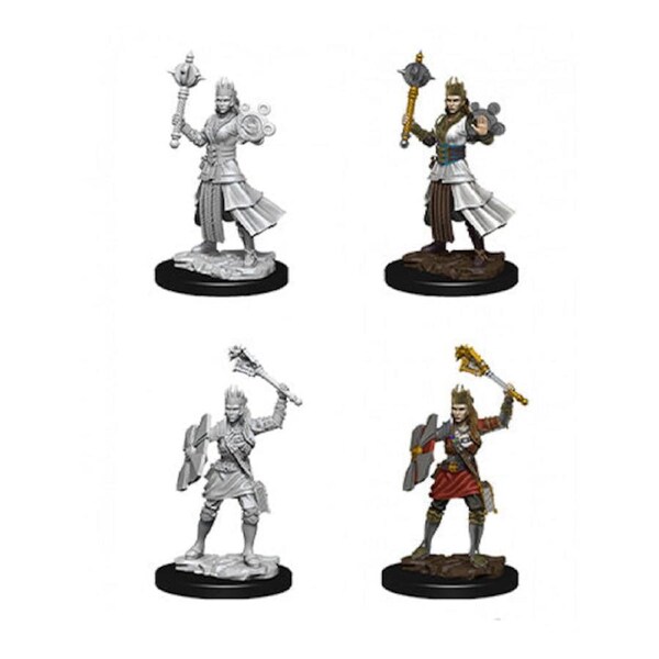 D&D Nolzurs Marvelous Unpainted Miniatures Female Human Cleric