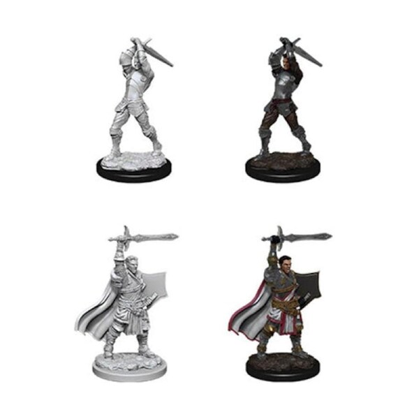 D&D Nolzurs Marvelous Unpainted Miniatures Male Human Paladin