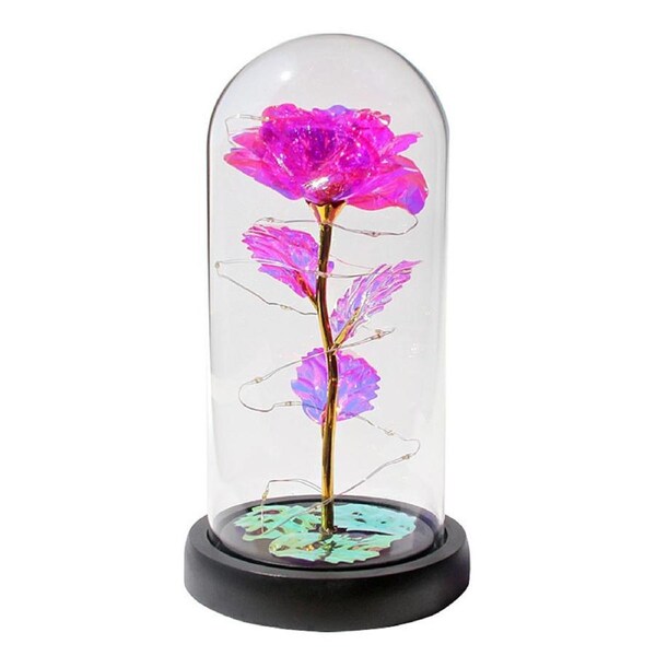 Catzon Light Up Rose in A Glass Dome Womens Gifts for Christmas Birthday-Rose Red