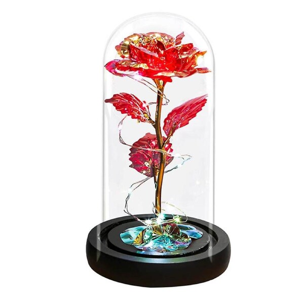 Catzon Light Up Rose in A Glass Dome Womens Gifts for Christmas Birthday-Red