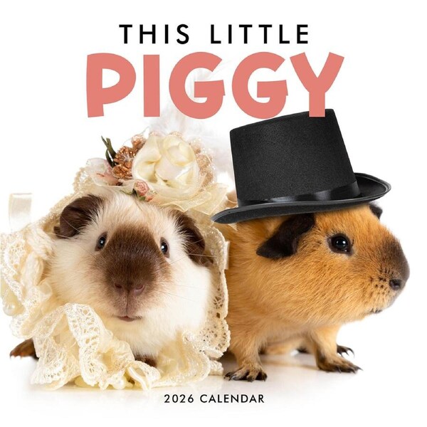 2026 Calendar This Little Piggy Square Wall Paper Pocket CPB20