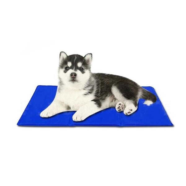 Pet Dog Cat Bed Non-Toxic Cooling Cool Water Cooling Gel Mat Summer Pad L 40 x 50cm