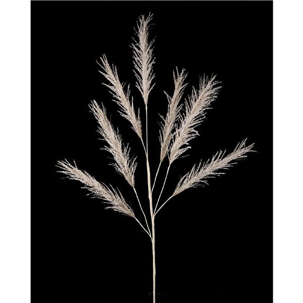 Champange Pampas Pick 113cm