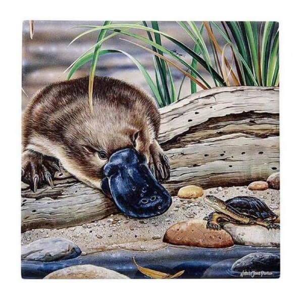 Ashdene Kitching Dining Ceramic Platypus Trivet