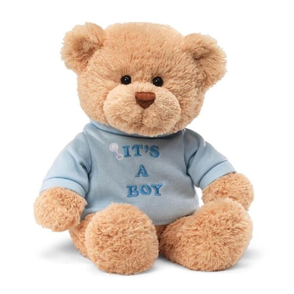 Gund Message Bear It's A Boy Blue Shirt 30cm Plush