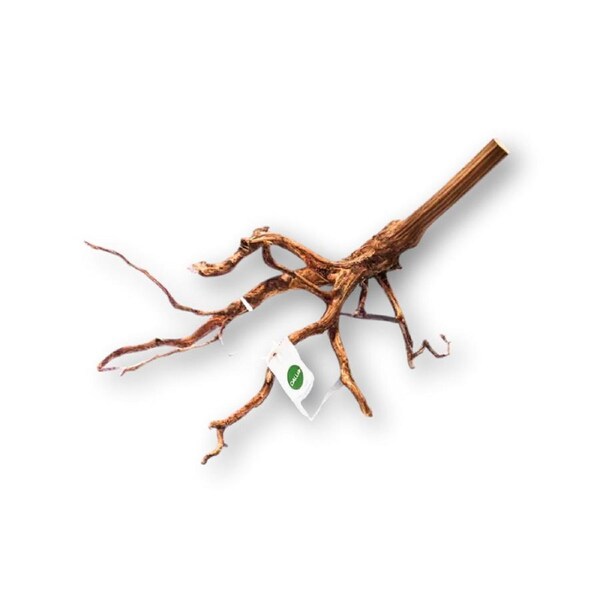 Dalua Tiger Wood XS 20-25cm