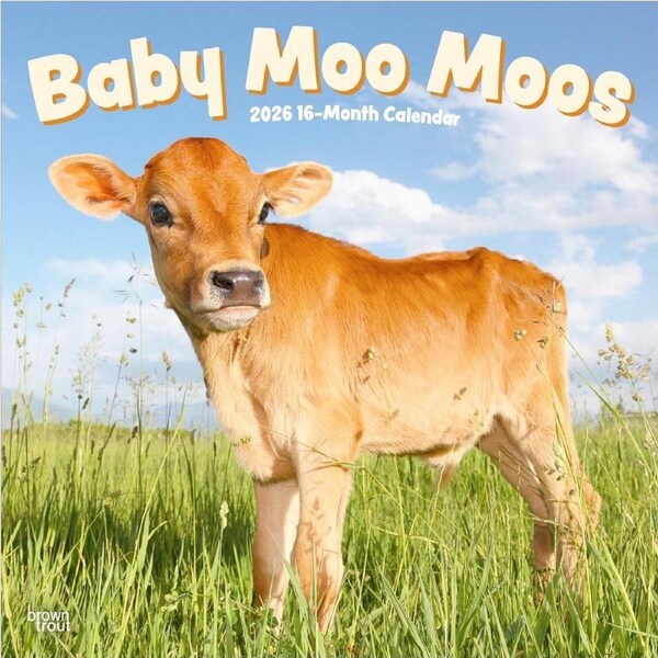 2026 Calendar Baby Moo Moos 16-Month Square Wall, BrownTrout BT02282
