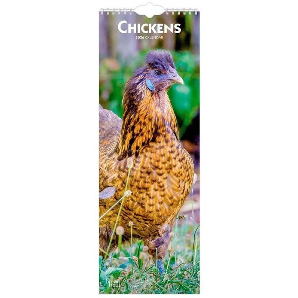 2026 Calendar Chickens Slim Wall, BrownTrout BT02893