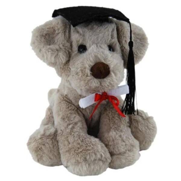 Elka Plush Dog Rocky 20cm Graduation Soft Toy With Cap And Scroll