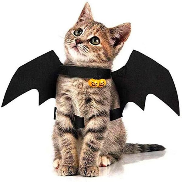 5 Pcs Pet Cat Bat Wings For Halloween Party Decor Puppy Cosplay Bat Costume
