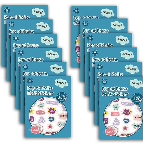 12x 240pc Learning Can Be Fun Pop of Praise Merit Sticker Book Multicoloured