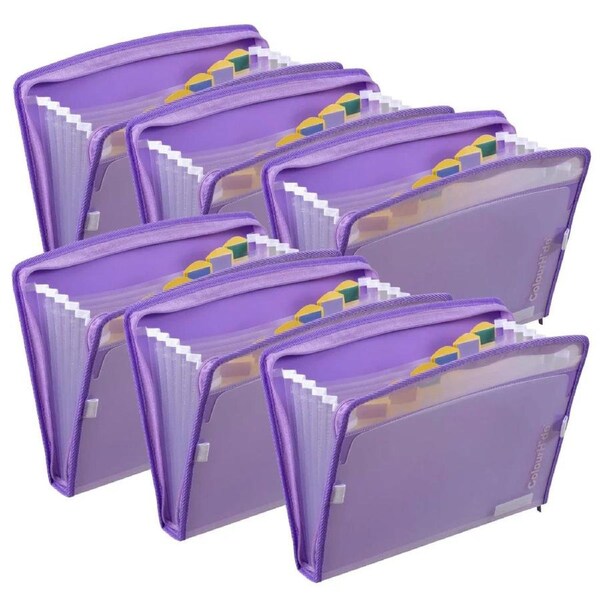 ColourHide Zip It Expanding File Lavender Pack 6