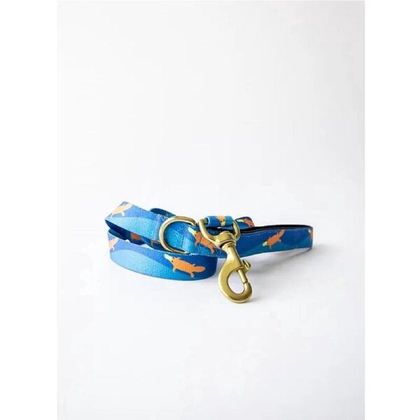 Piper The Platypus Dog Leash