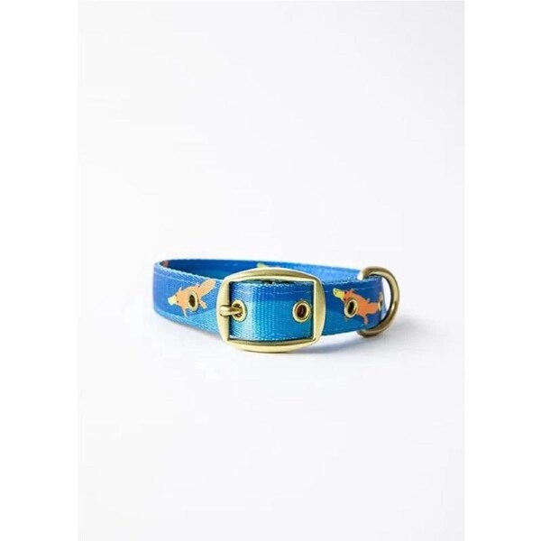 Piper The Platypus Dog Collar - Medium
