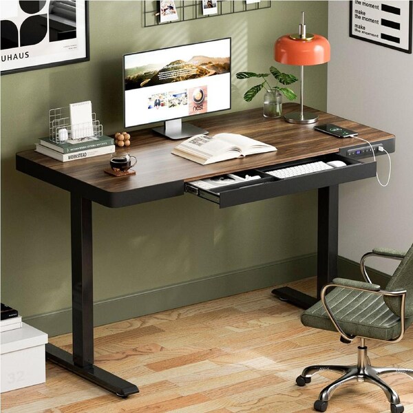 Tioiear Electric Standing Desk with Drawers & USB Ports, Height Adjustable Sit Stand Desk with Power Outlets, One-Piece Wooden Tabletop