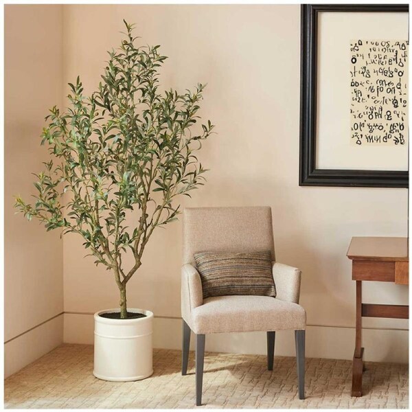 CG Hunter Faux Olive Tree In French Crock Pot 2M