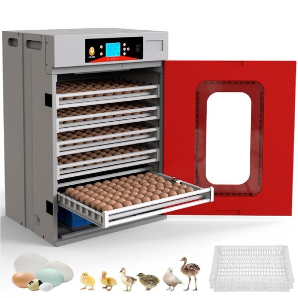 Advwin 400 Eggs Incubator Automatic Incubator for Hatching Eggs