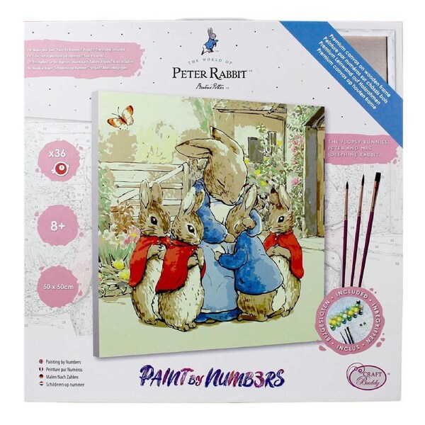 DIY Paint By Numbers Peter Rabbit 50x50cm with Canvas