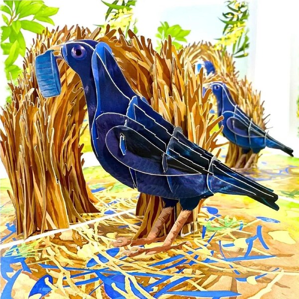 Satin Bowerbird 3D Pop Up Card