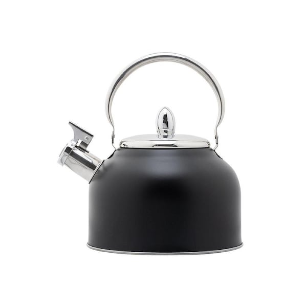 Stainless Steel Whistling Kettle with Black Foldable Handle for Home Kitchen