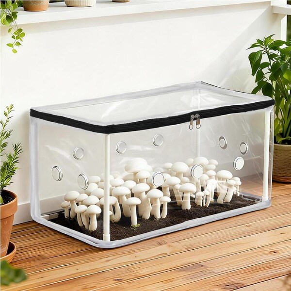 Green Fingers Mini Portable Greenhouse 50x25x25cm Clear PVC Cover for Mushrooms Succulents Plants
